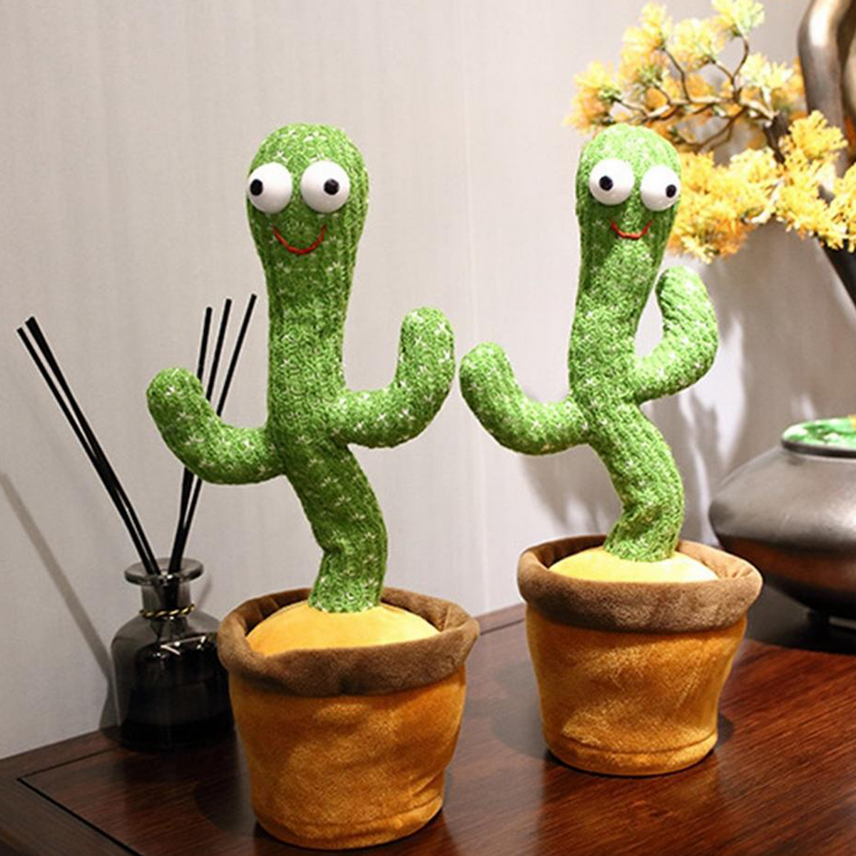 Cactus dansant