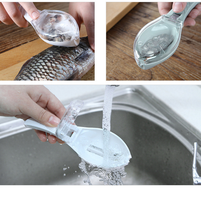 Écailleur à poisson avec réservoir (Vente Chaude)