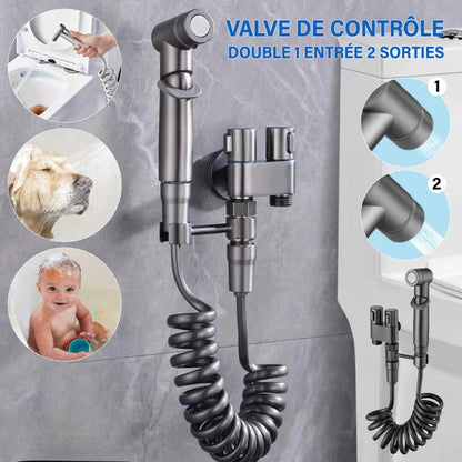 Valve De Contrôle Double 1 Entrée 2 Sorties - Pulvérisateur De Bidet À Main Pour Toilettes En Acier Inoxydable (BJ)