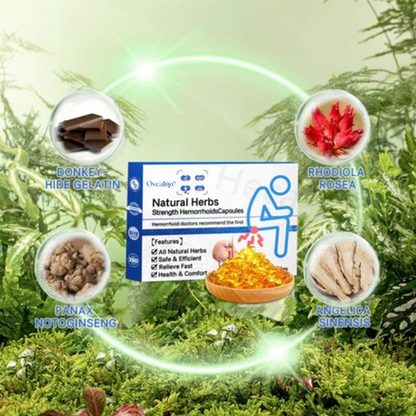 Capsules d'hémorroïdes naturelles à base de plantes