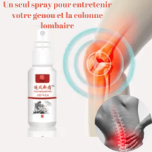 Spray antibactérien analgésique pour la Douleur de genou et colonne lombaire