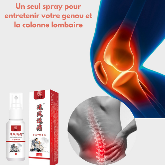 Spray antibactérien analgésique pour la Douleur de genou et colonne lombaire