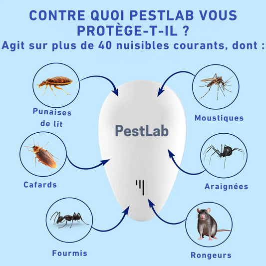 PestLab Répulsif anti-nuisibles 2025 amélioré..