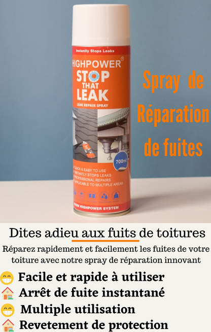 SPRAY DE REPARATION DE FRUITES